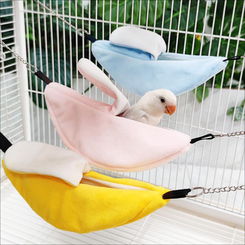 /KQM/Banana Hamster Bird Rat S – Fishing Kayak Sit On Top Bewertung und Preis